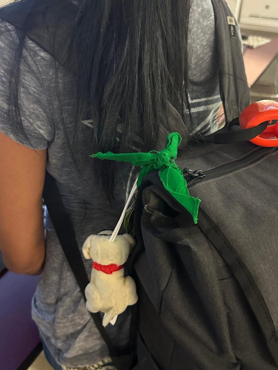 Students wore green ribbons to peacefully protest against ICE